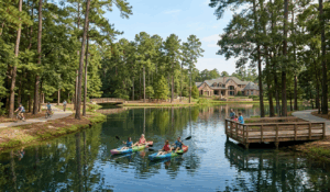 the woodlands texas